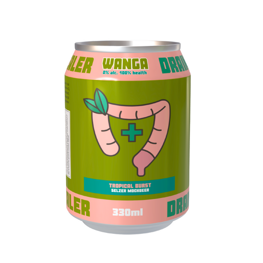 Drain Dealer - Lemon, Lime & Mint - Digestion  Soul Selzer - 330ml